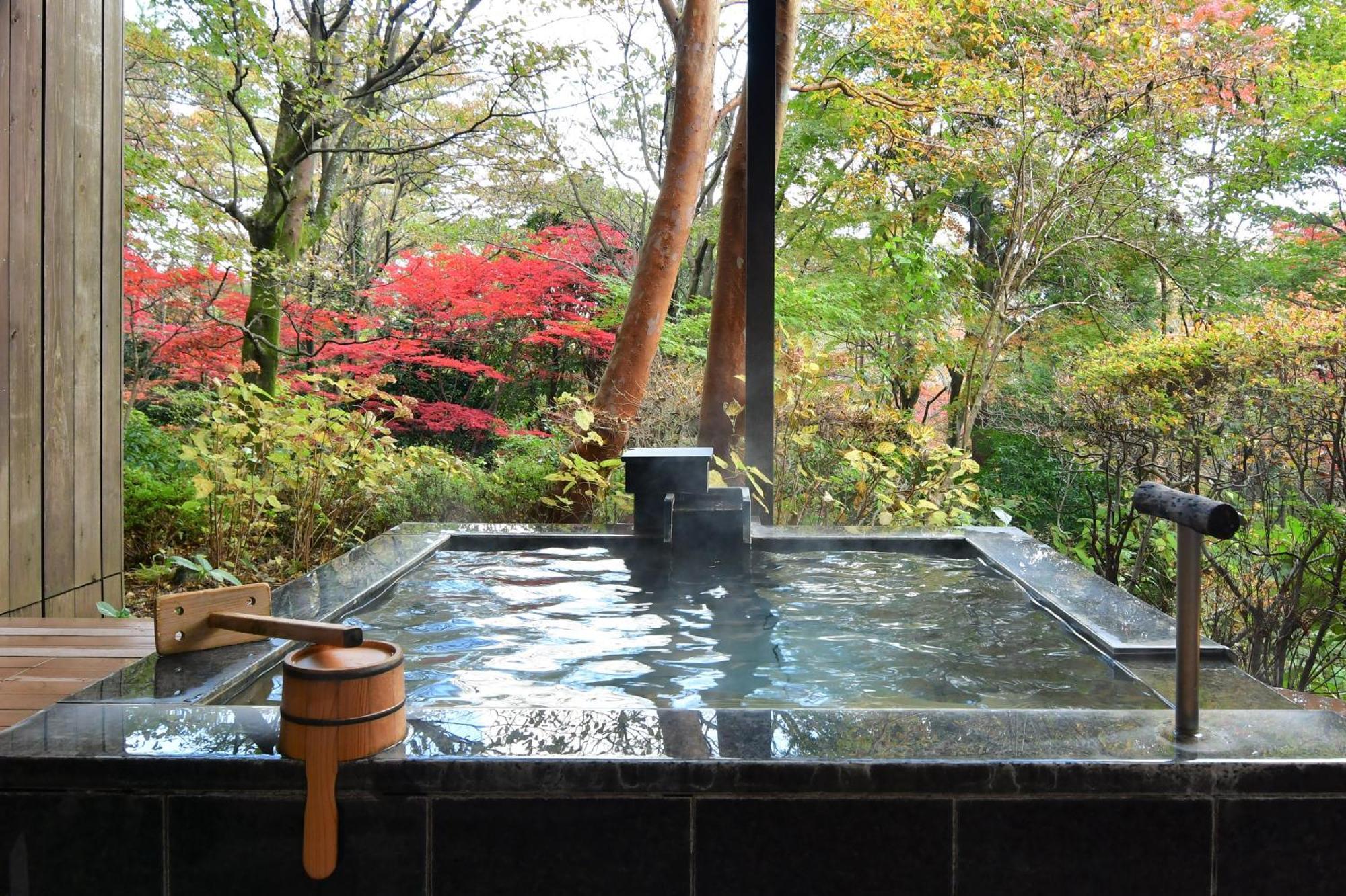 Hakone Gora Byakudan Hotel Luaran gambar